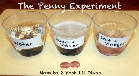 Lab Report 7 Metal Reactivity Preview text Alloys The Copper, Silver, and Gold Penny Experiment November 28th, 2017 Objective The goal for this experiment is to determine the percentage of copper and zinc in an old and new penny with an x. . Penny lab experiment